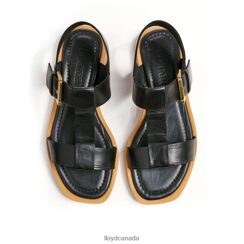 LIGHT SANDALS LLOYD Women black R084ZF1249 Shoes