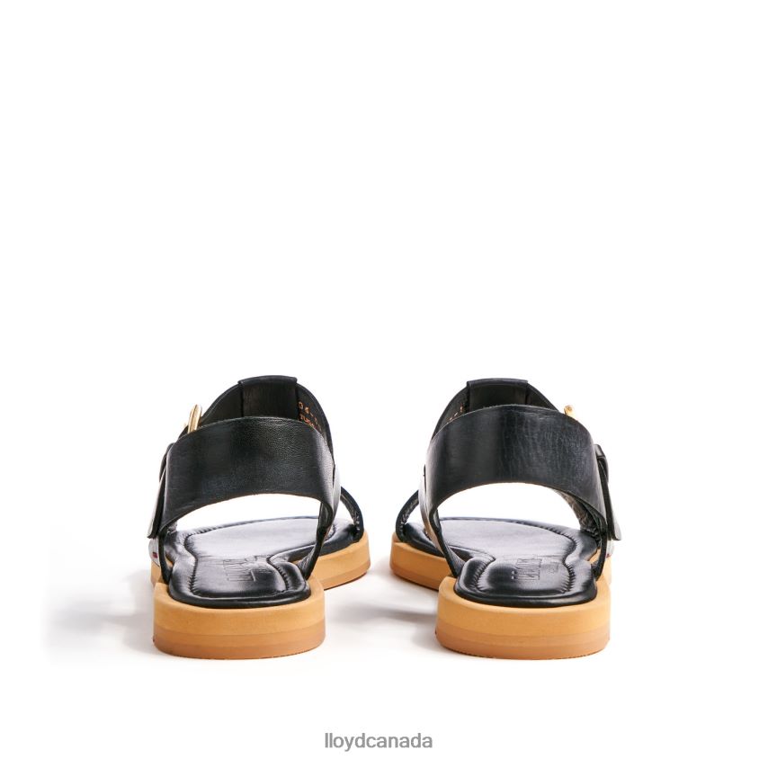 LIGHT SANDALS LLOYD Women black R084ZF1249 Shoes