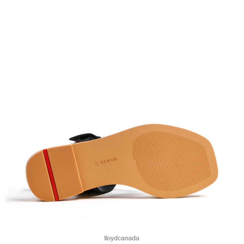 LIGHT SANDALS LLOYD Women black R084ZF1249 Shoes