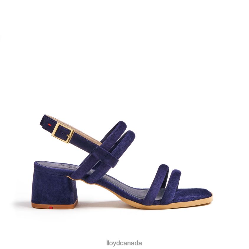 LIGHT SANDALS LLOYD Women blue R084ZF1156 Shoes