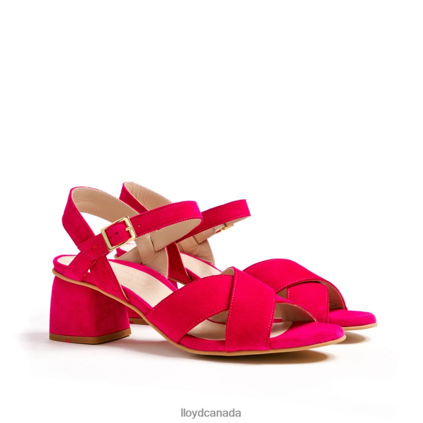 LIGHT SANDALS LLOYD Women pink R084ZF1162 Shoes