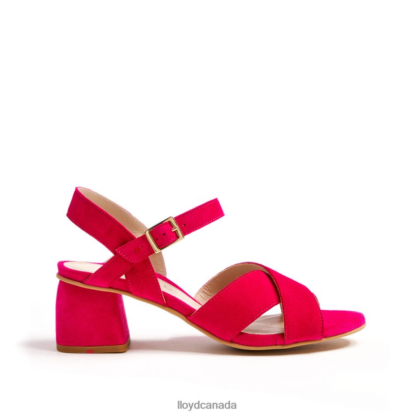 LIGHT SANDALS LLOYD Women pink R084ZF1162 Shoes