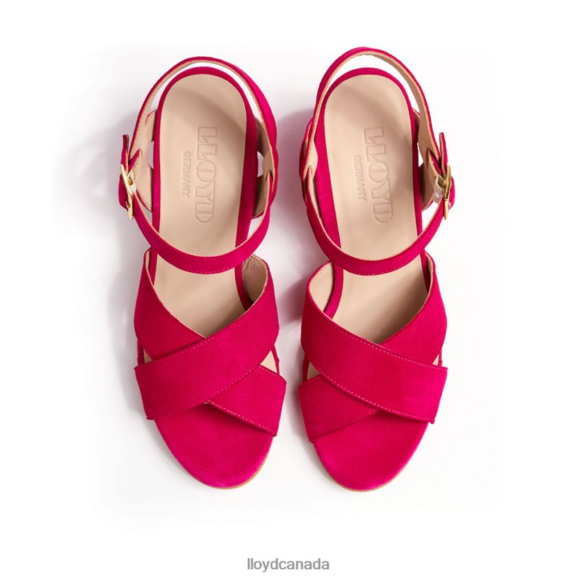 LIGHT SANDALS LLOYD Women pink R084ZF1162 Shoes