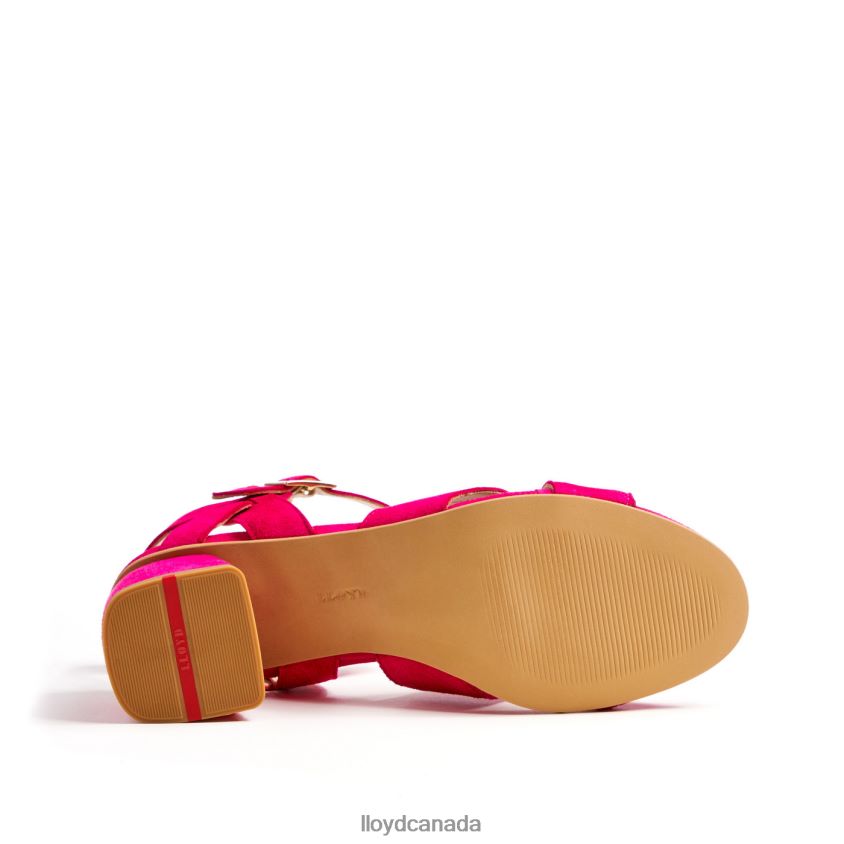 LIGHT SANDALS LLOYD Women pink R084ZF1162 Shoes