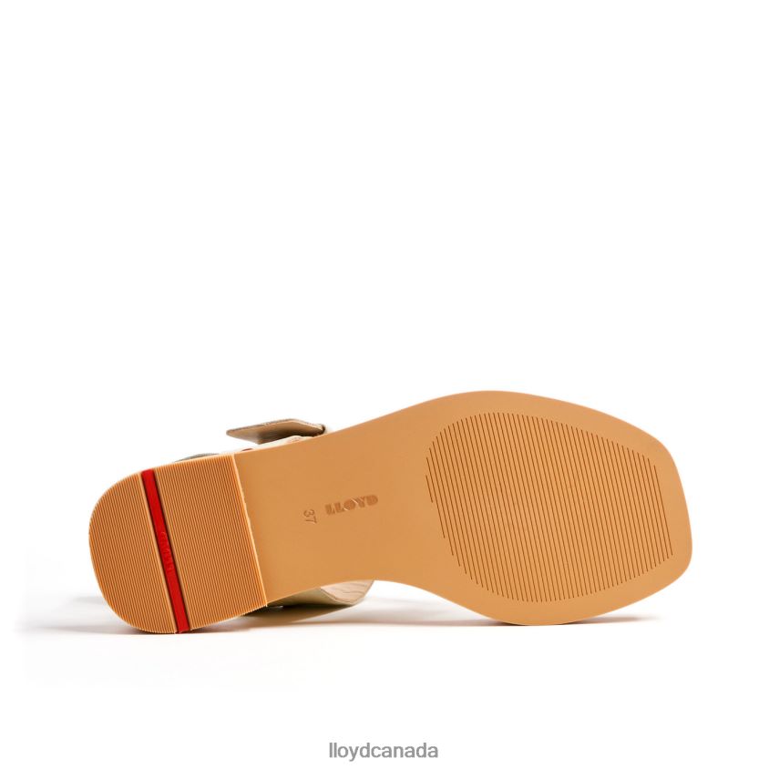 LIGHT SANDALS LLOYD Women white R084ZF1250 Shoes