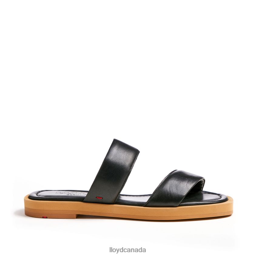 MULE LLOYD Women black R084ZF1225 Shoes
