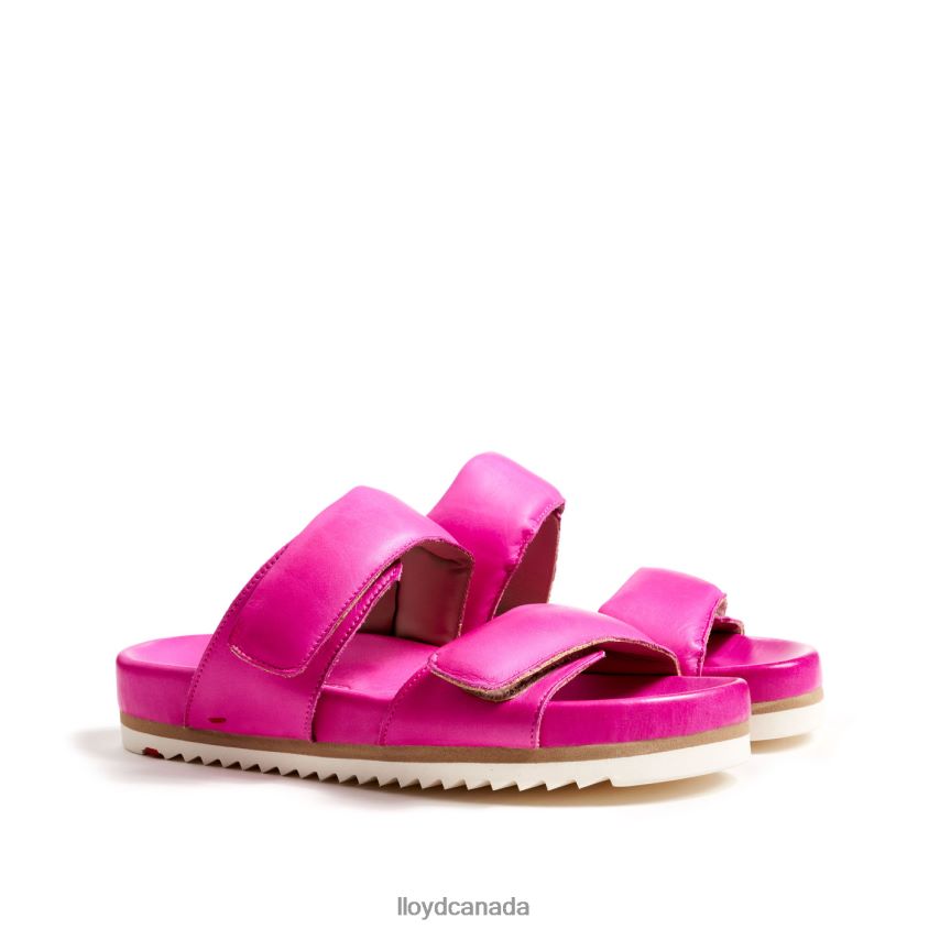 MULE LLOYD Women pink R084ZF1232 Shoes