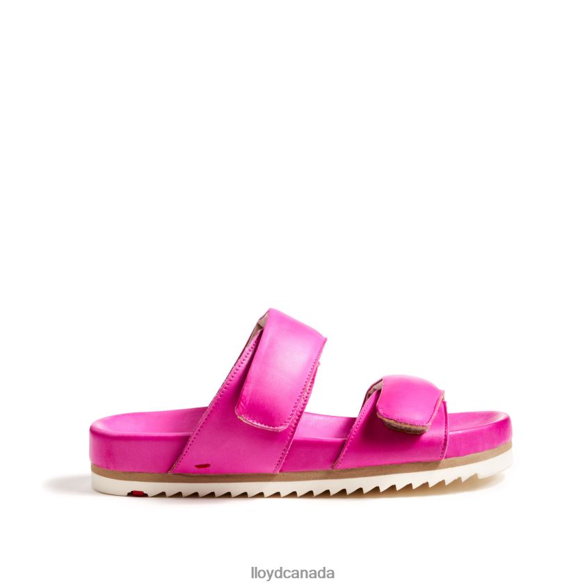 MULE LLOYD Women pink R084ZF1232 Shoes