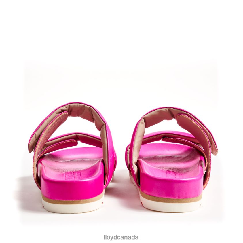 MULE LLOYD Women pink R084ZF1232 Shoes