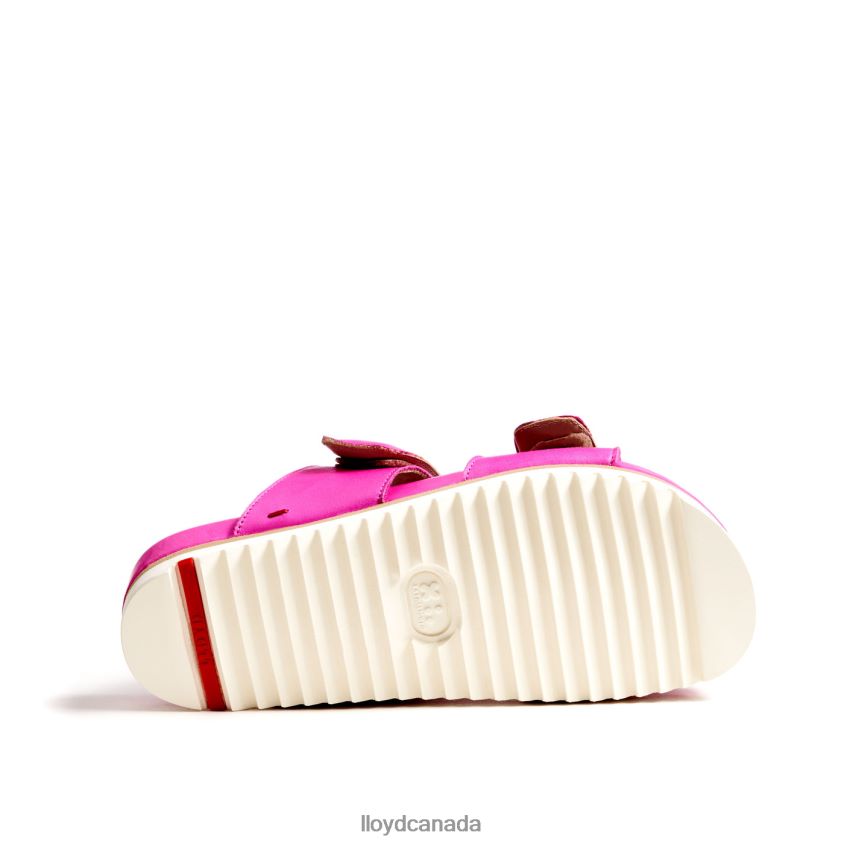 MULE LLOYD Women pink R084ZF1232 Shoes