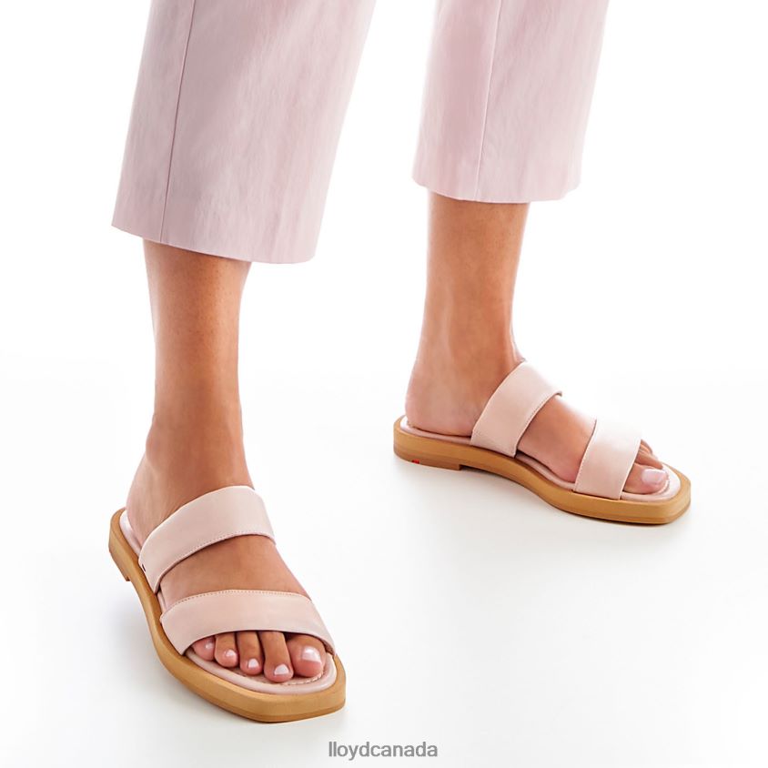 MULE LLOYD Women pink R084ZF1240 Shoes