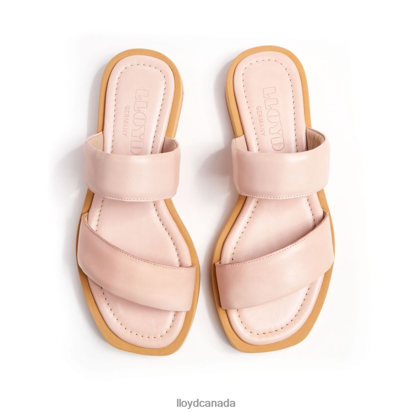 MULE LLOYD Women pink R084ZF1240 Shoes