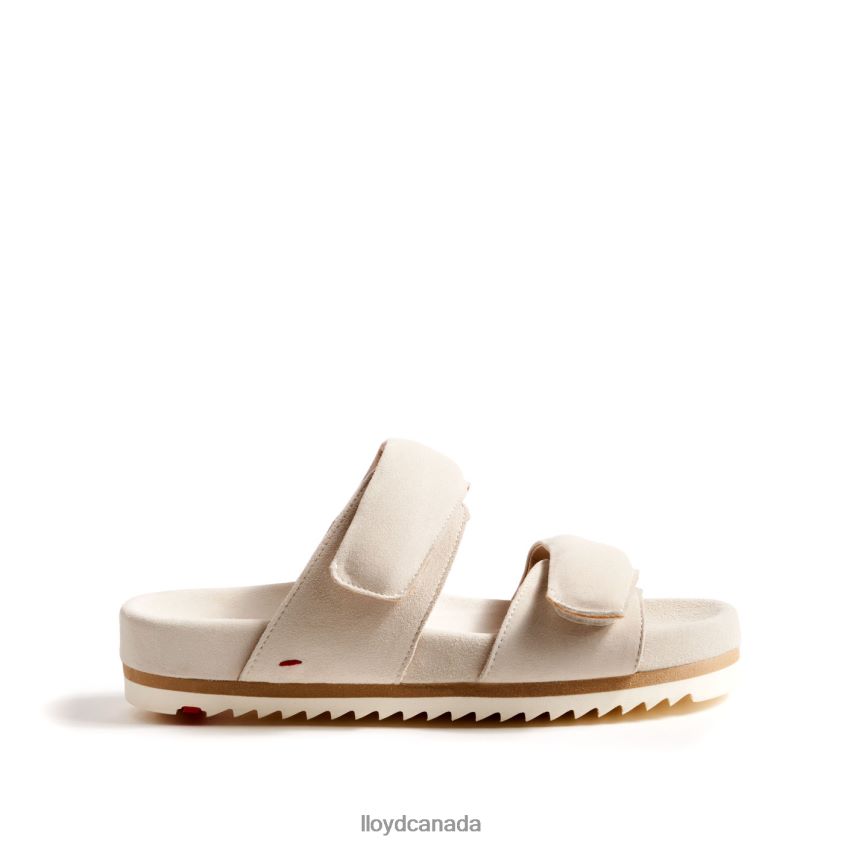 MULE LLOYD Women white R084ZF1223 Shoes