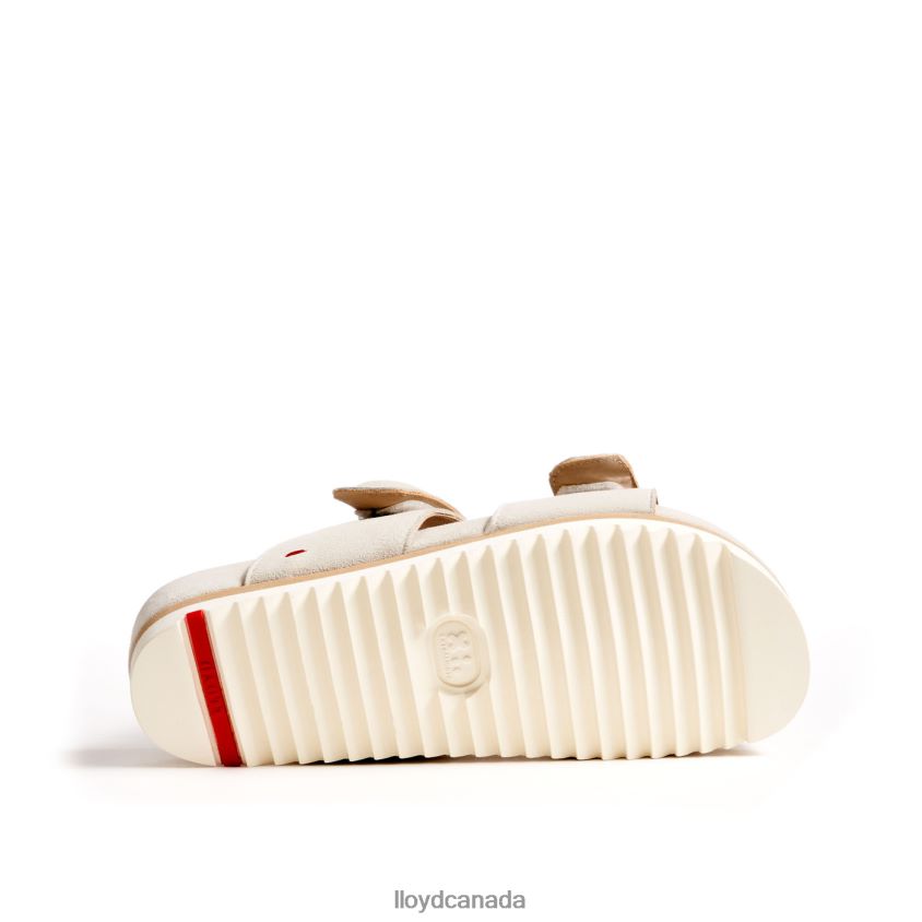MULE LLOYD Women white R084ZF1223 Shoes