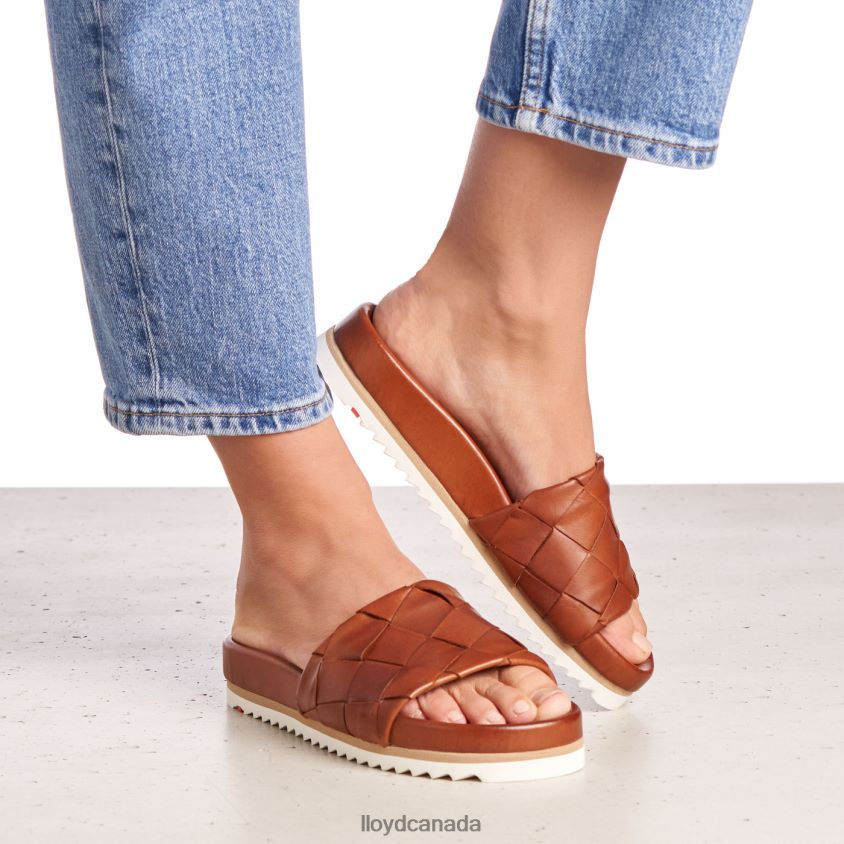 PANTOLETTE LLOYD Women brown R084ZF1227 Shoes