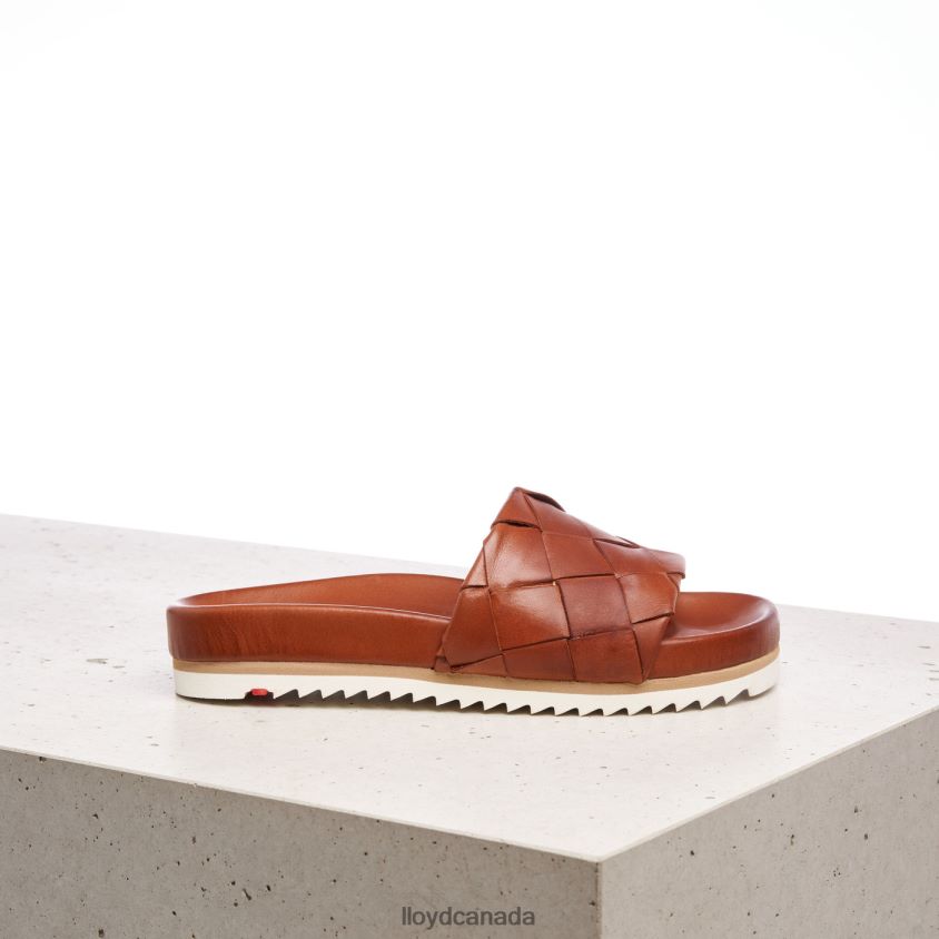 PANTOLETTE LLOYD Women brown R084ZF1227 Shoes