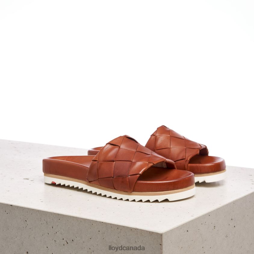 PANTOLETTE LLOYD Women brown R084ZF1227 Shoes