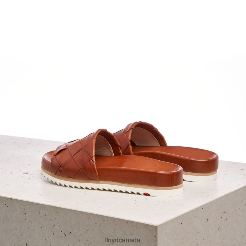 PANTOLETTE LLOYD Women brown R084ZF1227 Shoes