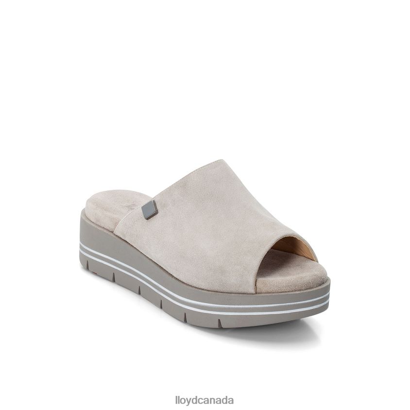 PANTOLETTE LLOYD Women grey R084ZF1245 Shoes