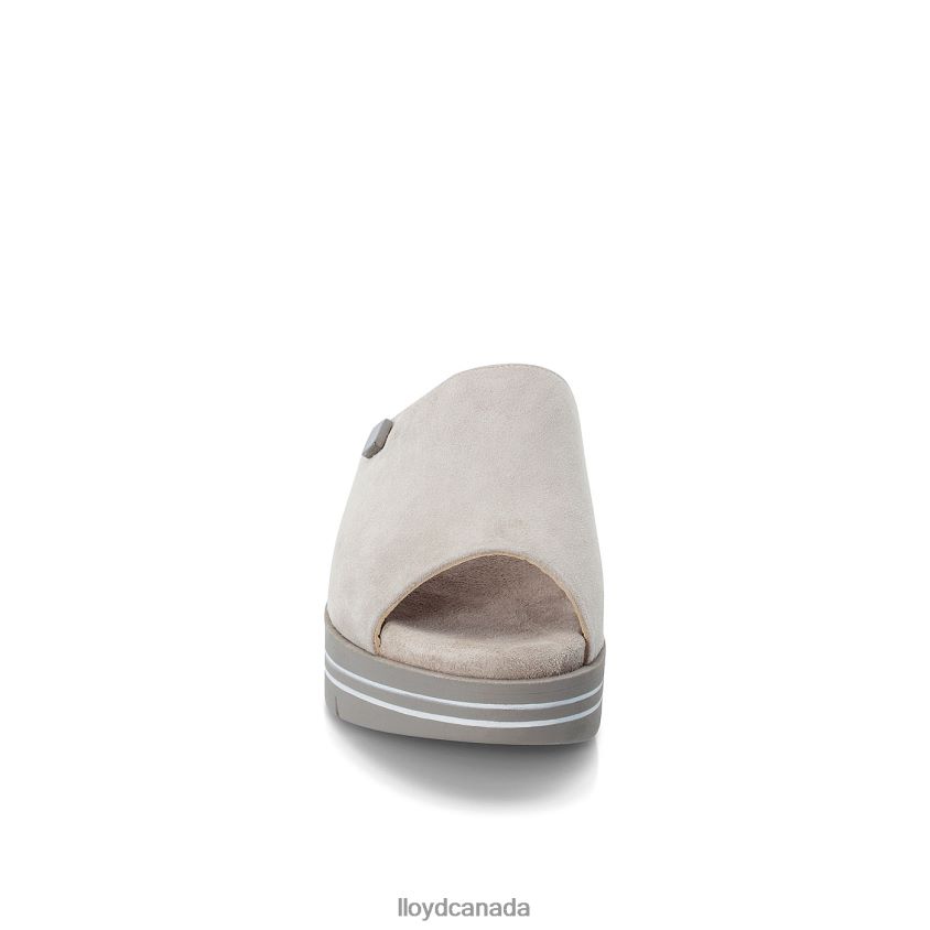 PANTOLETTE LLOYD Women grey R084ZF1245 Shoes