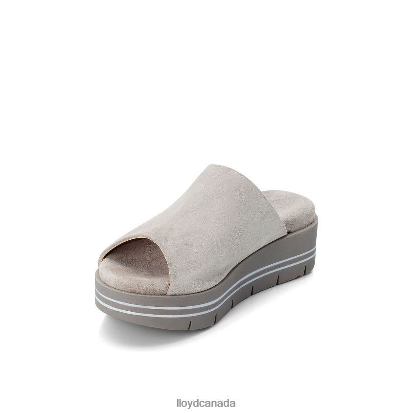 PANTOLETTE LLOYD Women grey R084ZF1245 Shoes