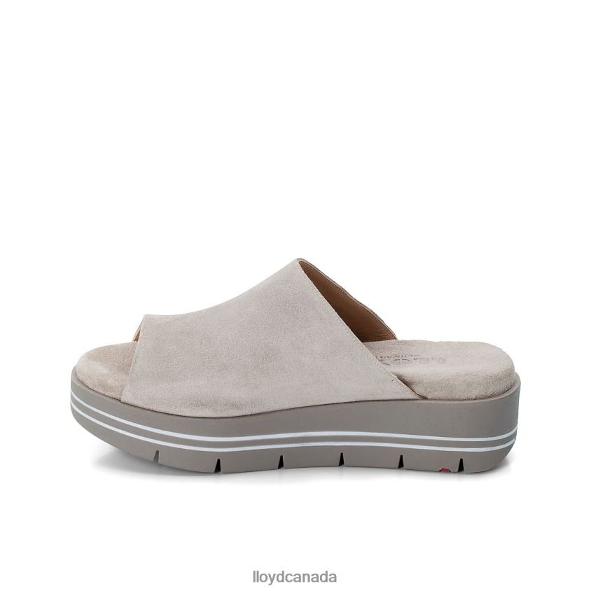 PANTOLETTE LLOYD Women grey R084ZF1245 Shoes