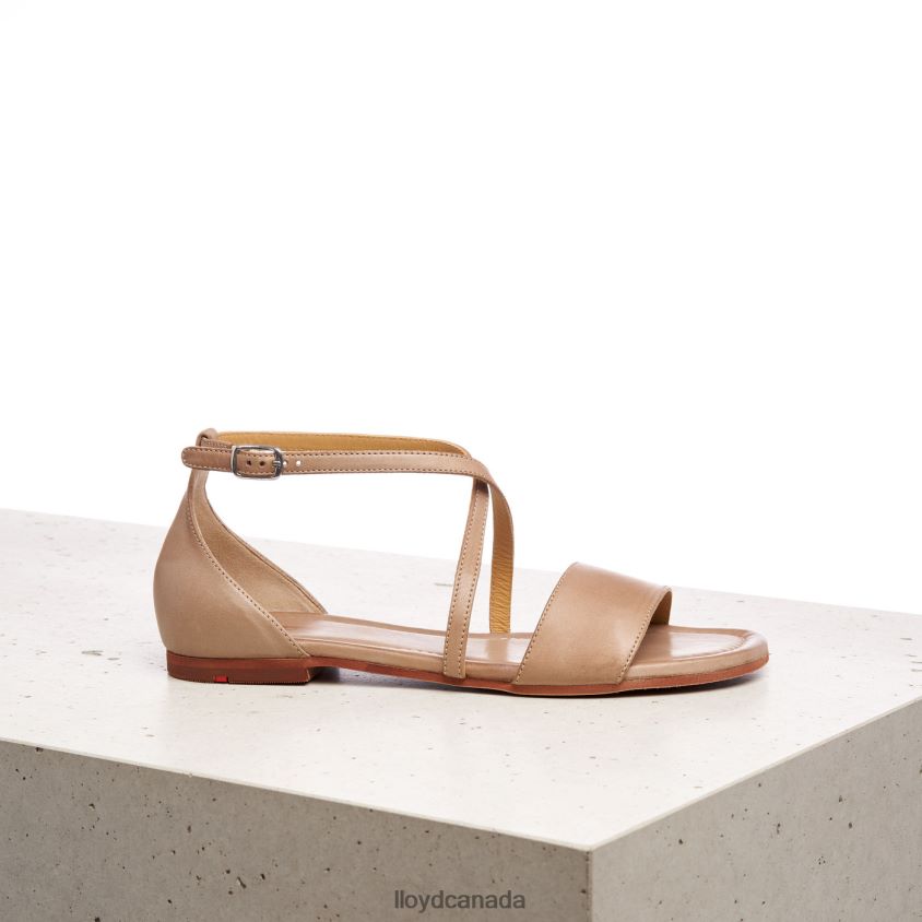 SANDALE LLOYD Women beige R084ZF1234 Shoes