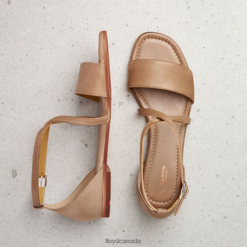 SANDALE LLOYD Women beige R084ZF1234 Shoes
