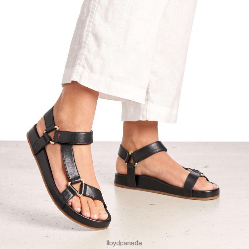 SANDALE LLOYD Women black R084ZF1246 Shoes