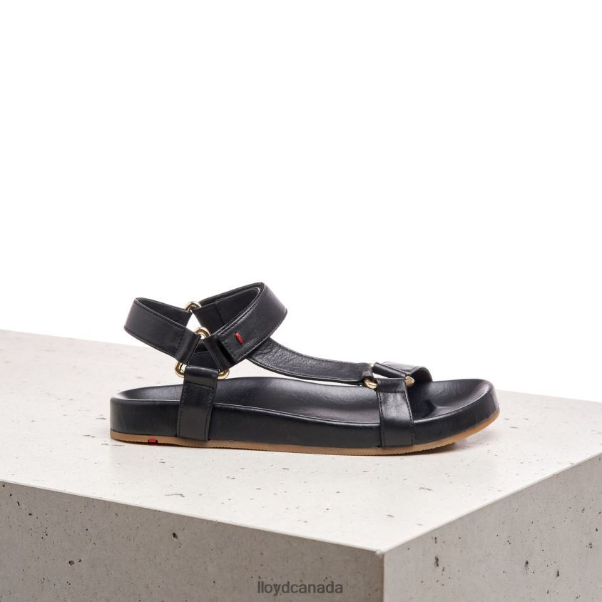 SANDALE LLOYD Women black R084ZF1246 Shoes