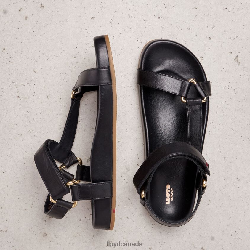 SANDALE LLOYD Women black R084ZF1246 Shoes