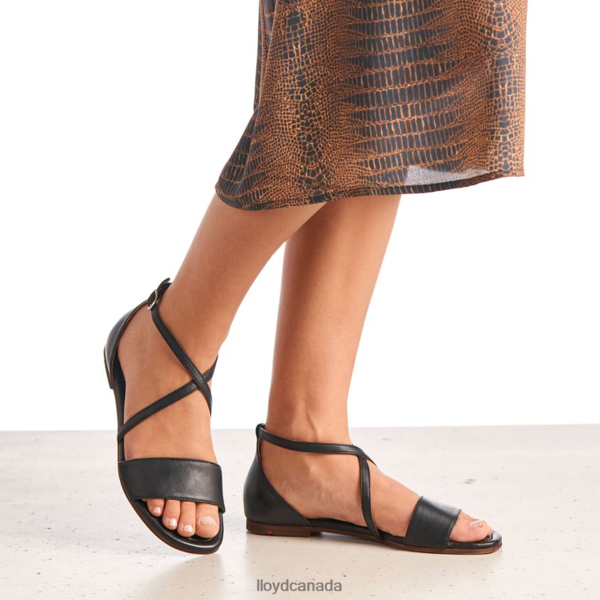 SANDALE LLOYD Women black R084ZF1254 Shoes