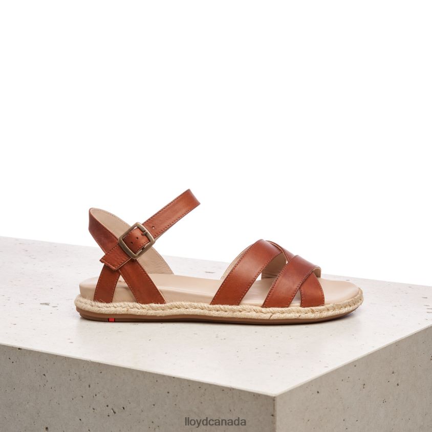SANDALE LLOYD Women brown R084ZF1210 Shoes