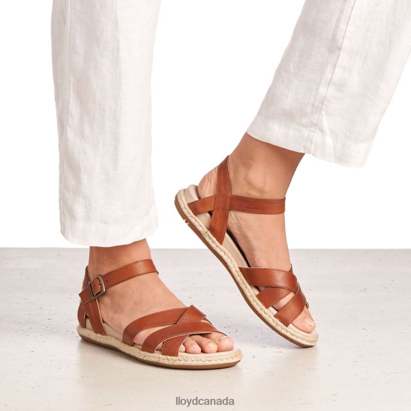 SANDALE LLOYD Women brown R084ZF1210 Shoes