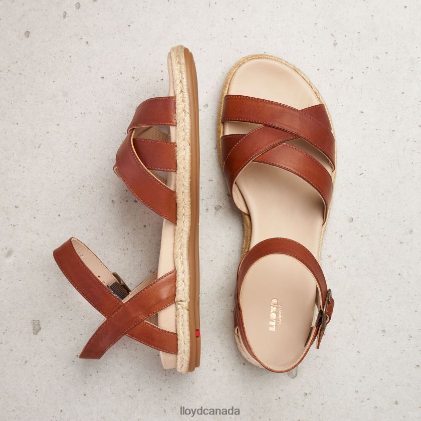 SANDALE LLOYD Women brown R084ZF1210 Shoes