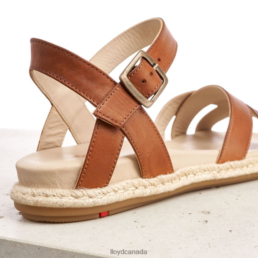 SANDALE LLOYD Women brown R084ZF1210 Shoes