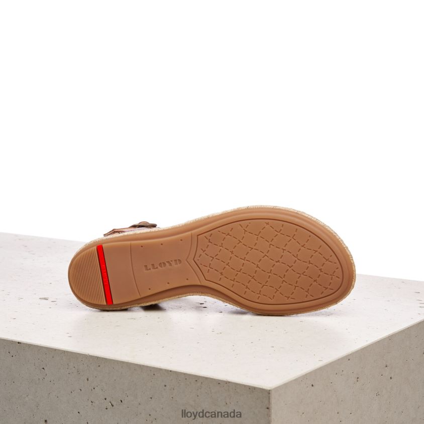 SANDALE LLOYD Women brown R084ZF1210 Shoes