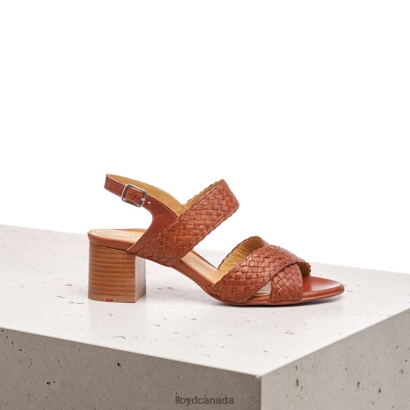 SANDALE LLOYD Women brown R084ZF1216 Shoes