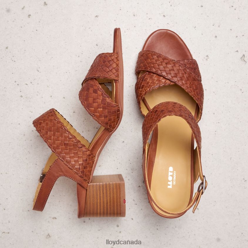 SANDALE LLOYD Women brown R084ZF1216 Shoes