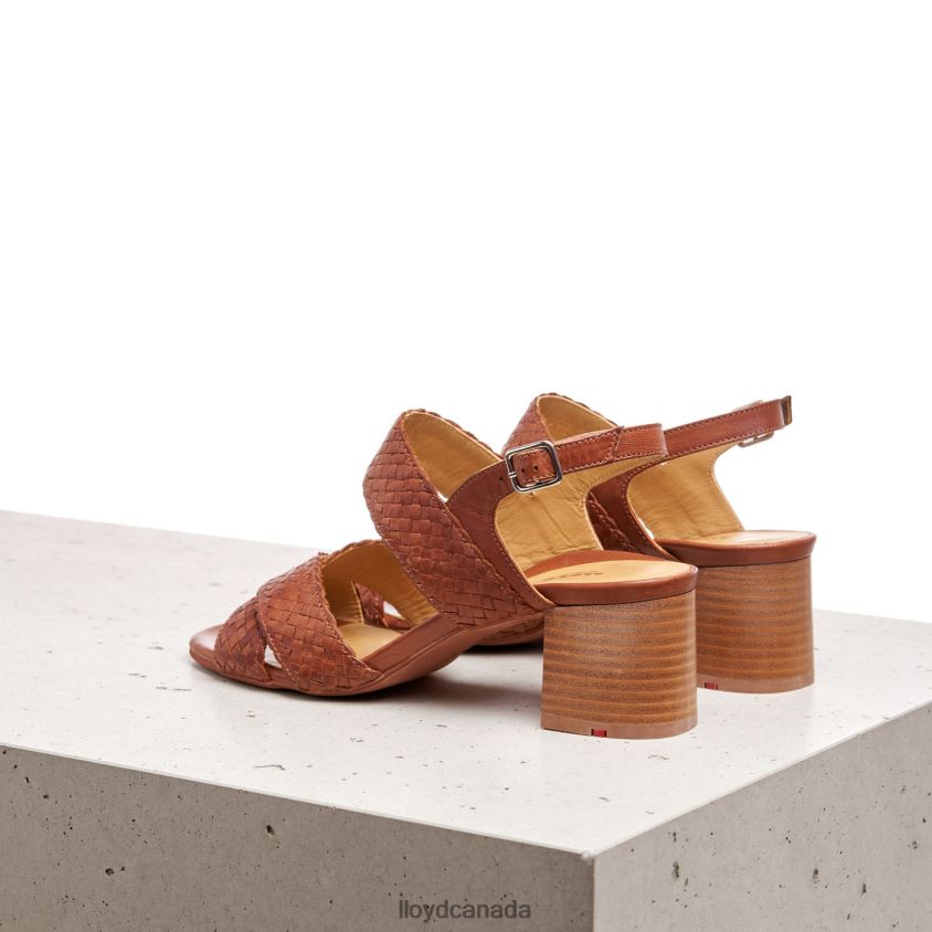 SANDALE LLOYD Women brown R084ZF1216 Shoes