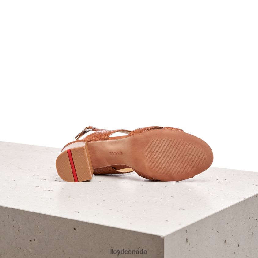 SANDALE LLOYD Women brown R084ZF1216 Shoes