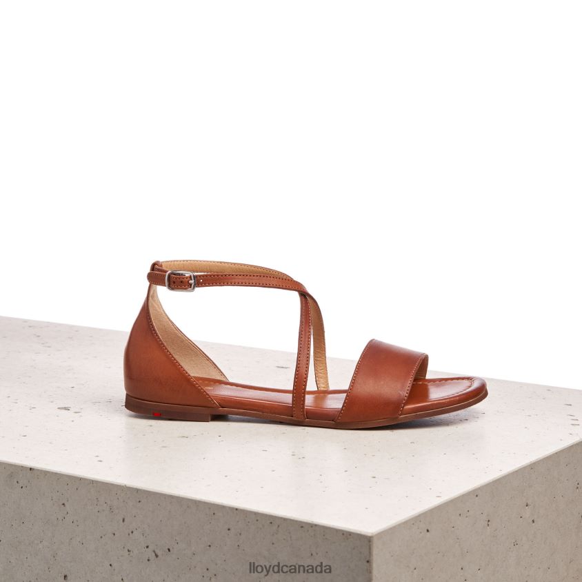 SANDALE LLOYD Women brown R084ZF1253 Shoes