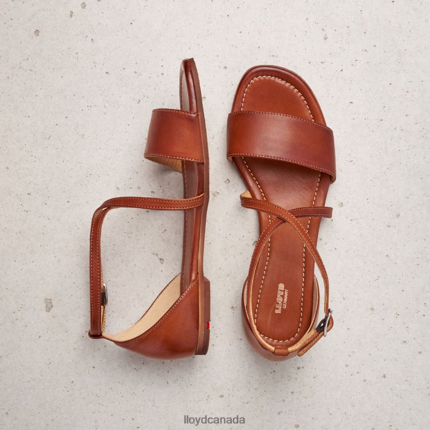 SANDALE LLOYD Women brown R084ZF1253 Shoes