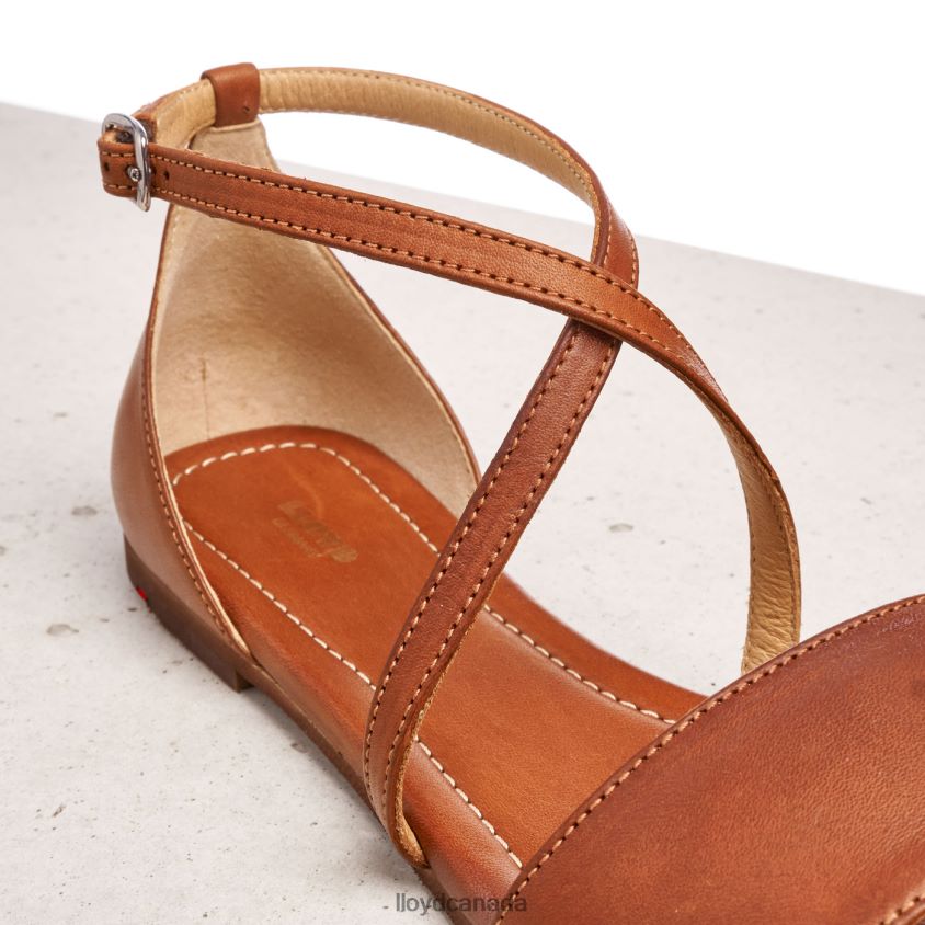 SANDALE LLOYD Women brown R084ZF1253 Shoes
