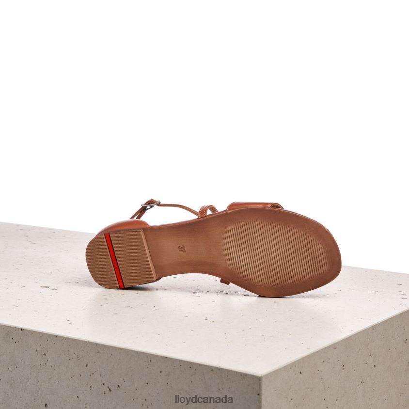 SANDALE LLOYD Women brown R084ZF1253 Shoes