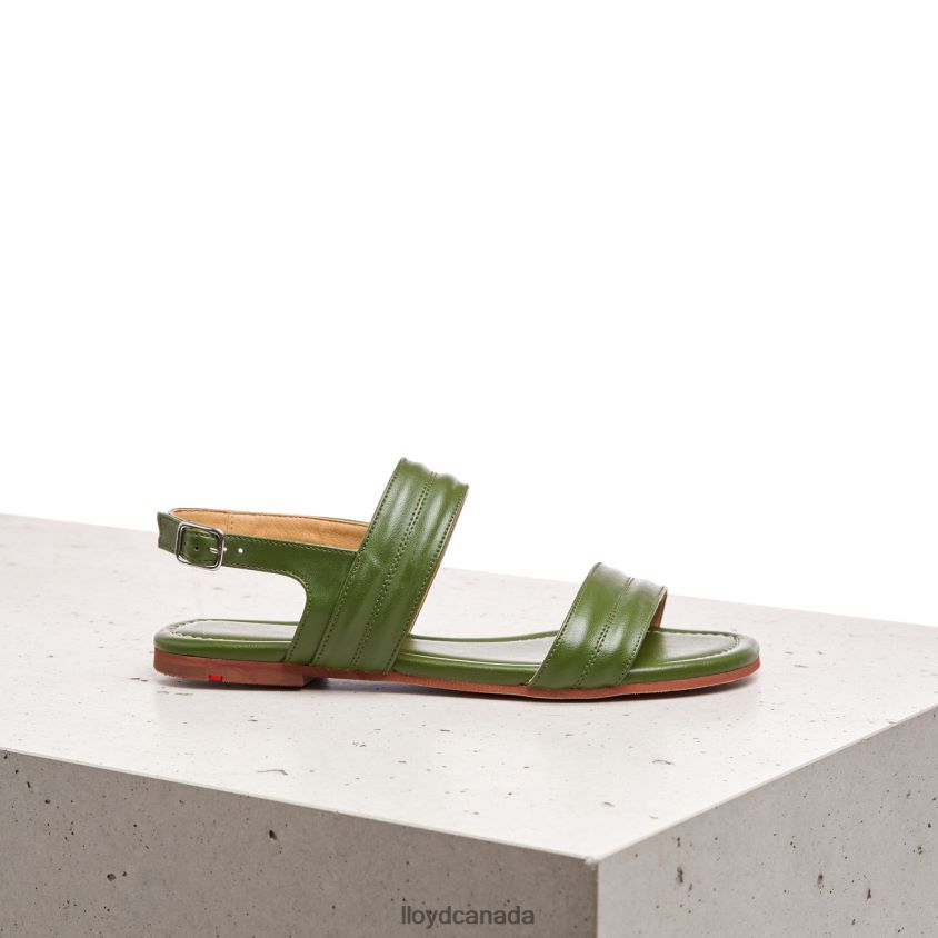 SANDALE LLOYD Women green R084ZF1244 Shoes