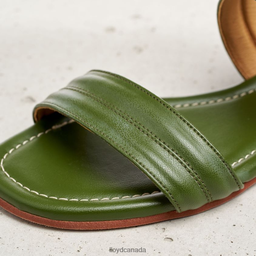 SANDALE LLOYD Women green R084ZF1244 Shoes