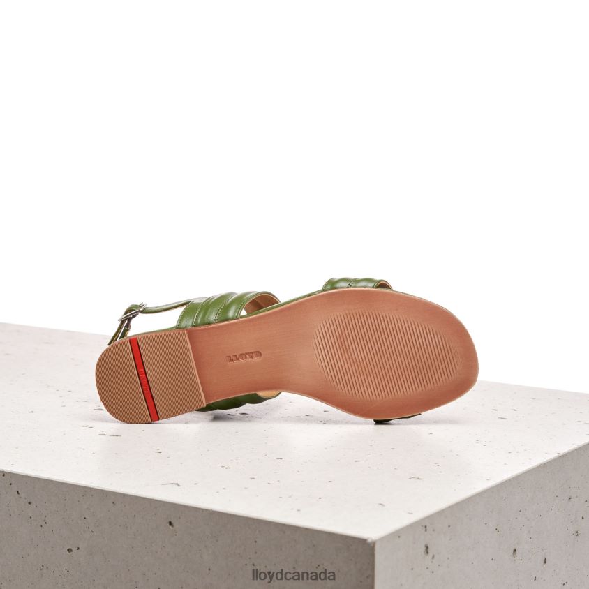 SANDALE LLOYD Women green R084ZF1244 Shoes
