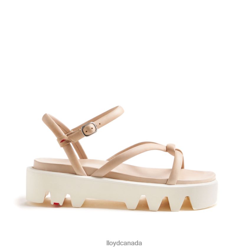 SANDALS LLOYD Women beige R084ZF1219 Shoes