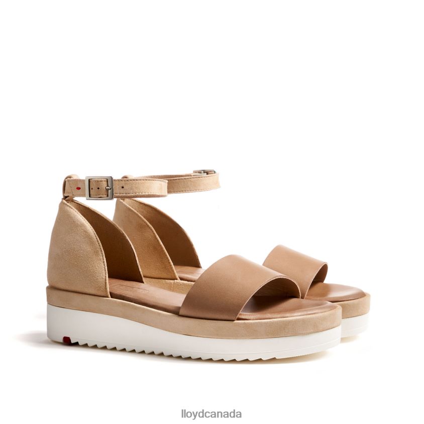 SANDALS LLOYD Women beige R084ZF1226 Shoes